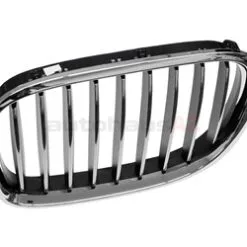 Genuine BMW 51117295297 Grille; Front Left - BMW