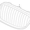 Genuine BMW 51137179656 Grille; Right - BMW -Porsche Parts shop BM 51137179656