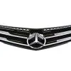Genuine Mercedes 20488020839040, A20488020839040 Grille; Front Center - Mercedes