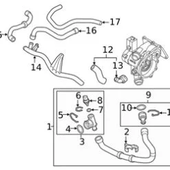 Genuine VW/Audi 5QF122051BE Radiator Coolant Hose; Lower - Audi, VW | VW5QF122051BE