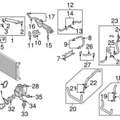 Genuine VW/Audi 8N0121447B Engine Coolant Overflow Hose - Audi | AU8N0121447B